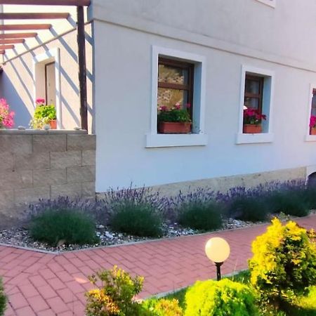 Wellness Apartman Bela Decin Exterior photo