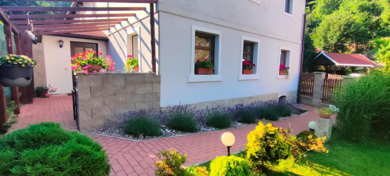Wellness Apartman Bela Decin Exterior photo